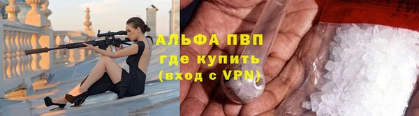 спиды Михайлов