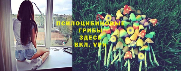 шишки Армянск