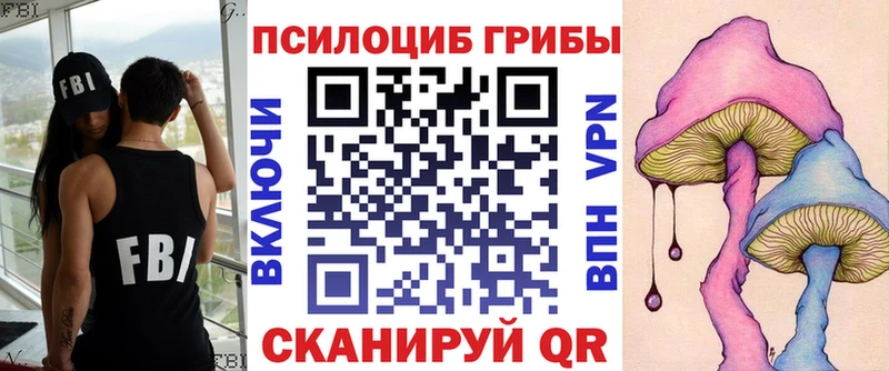 Псилоцибиновые грибы Psilocybe  Ессентуки 